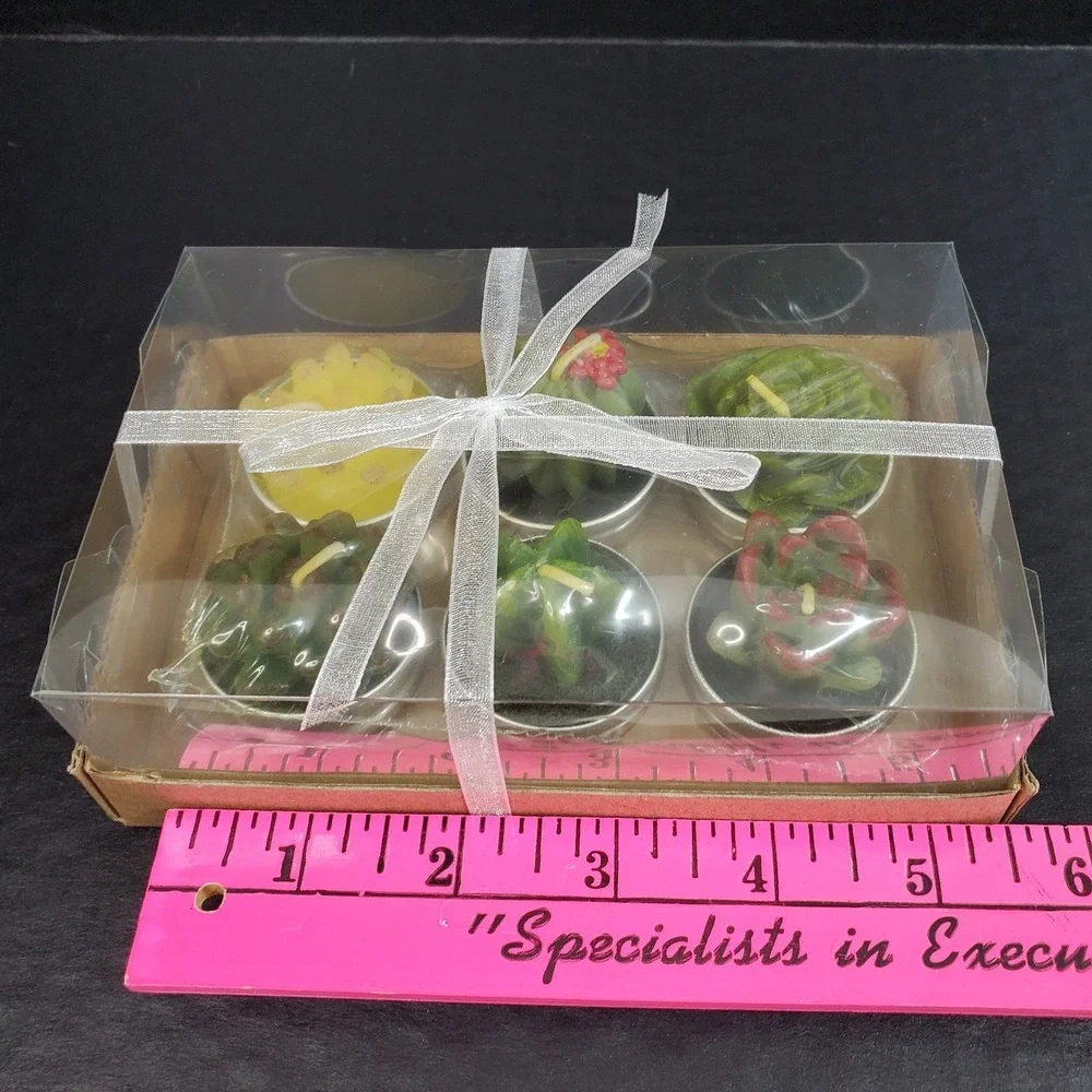 Set of 6 Mini Succulent Tea Light Candles Mini Plants Cactus NEW Gift Box‎
